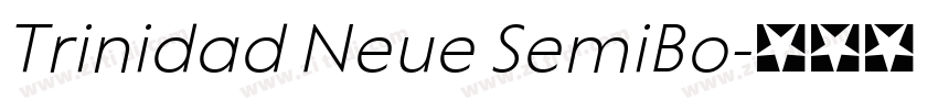 Trinidad Neue SemiBo字体转换